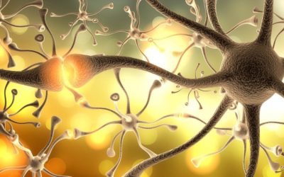 Perte de neurones: est-ce que votre mémoire disparait avec?